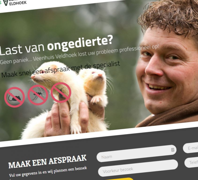 Professionele websites