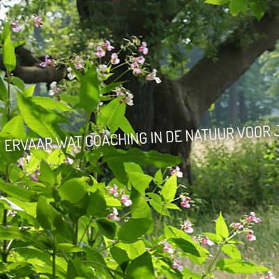 Paeon wandelcoaching